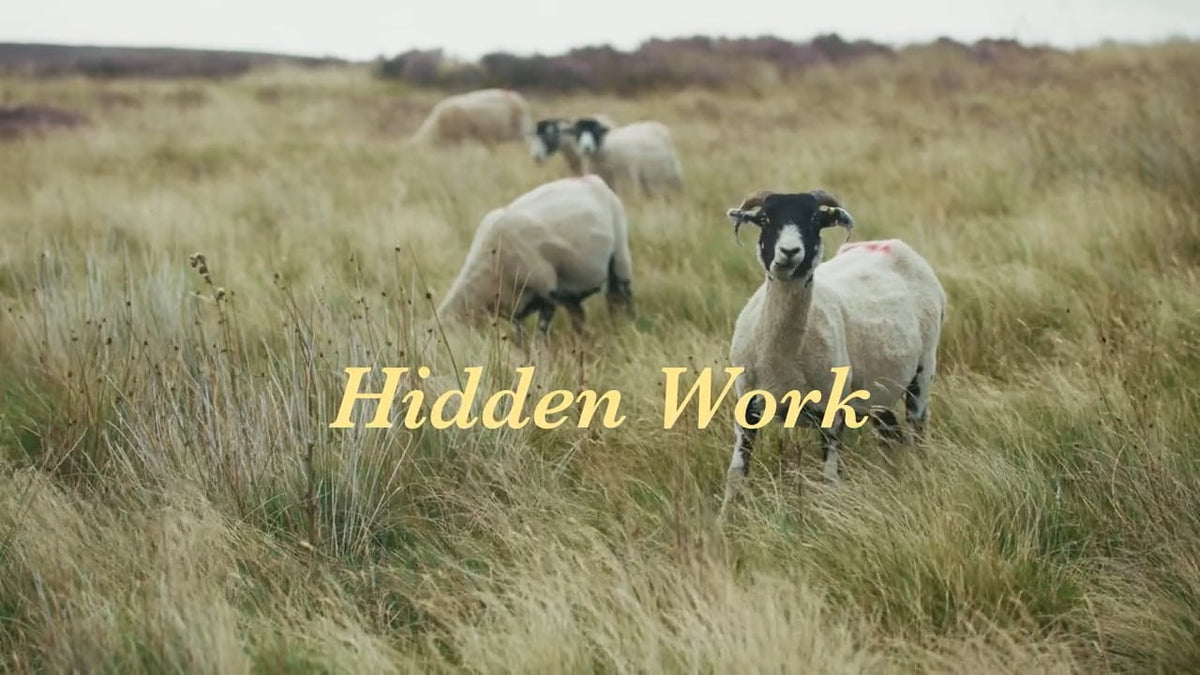 Dispatch no 6 - The Hidden Work of Wool