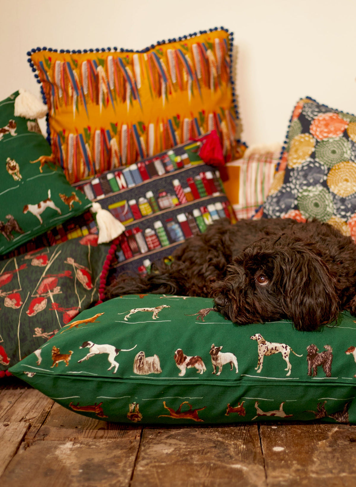 Woof Dog collection