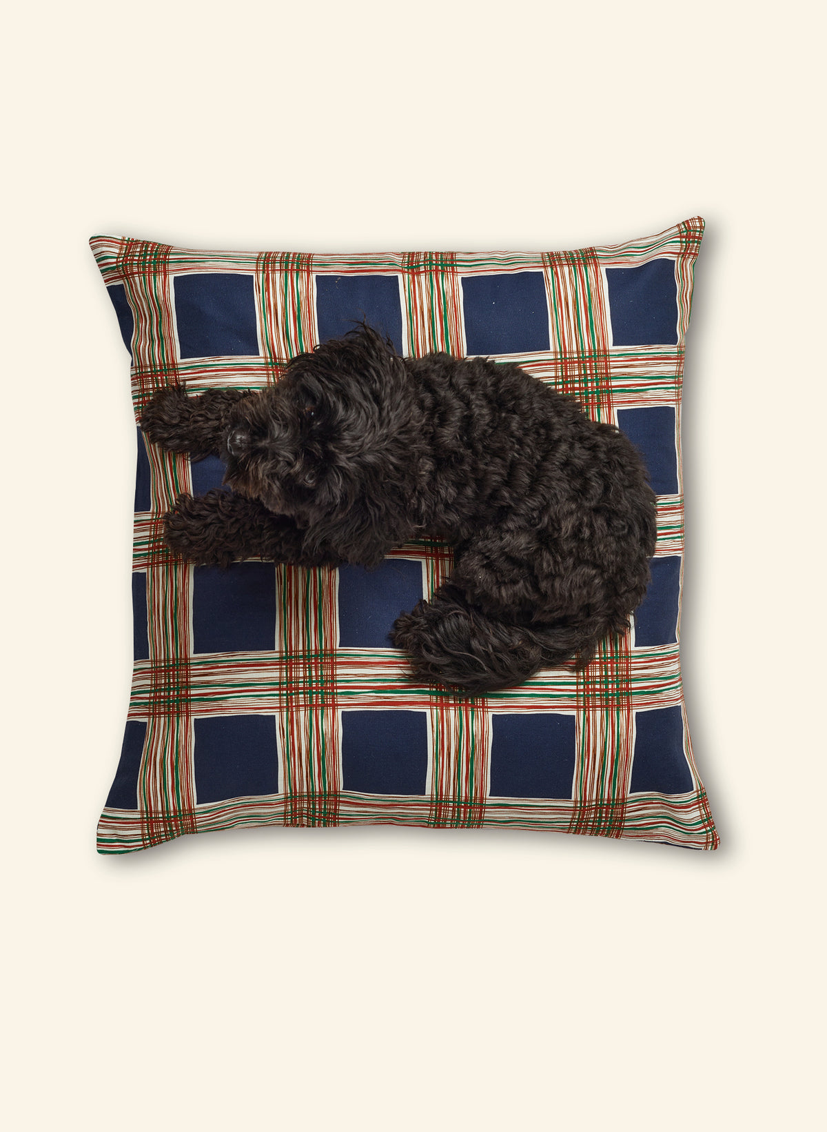 Large Cushion Cover - Navy Checks