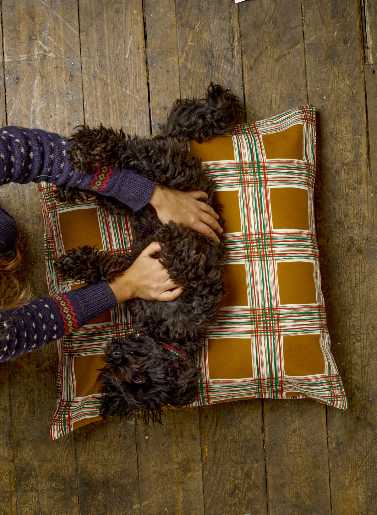 Large Cushion Cover - Mustard Checks