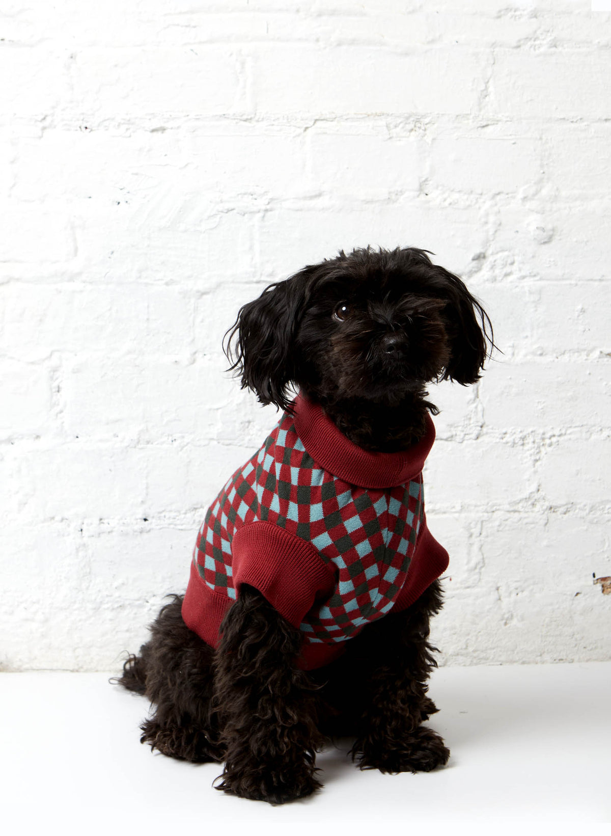 Rodney Dog Jumper - Burgundy Check
