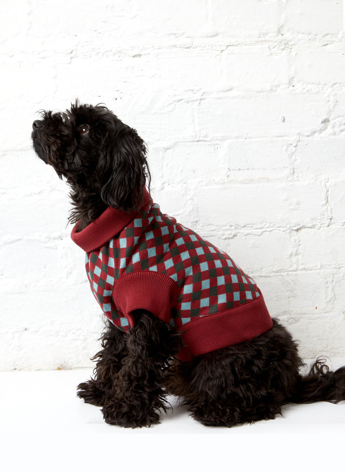 Rodney Dog Jumper - Burgundy Check